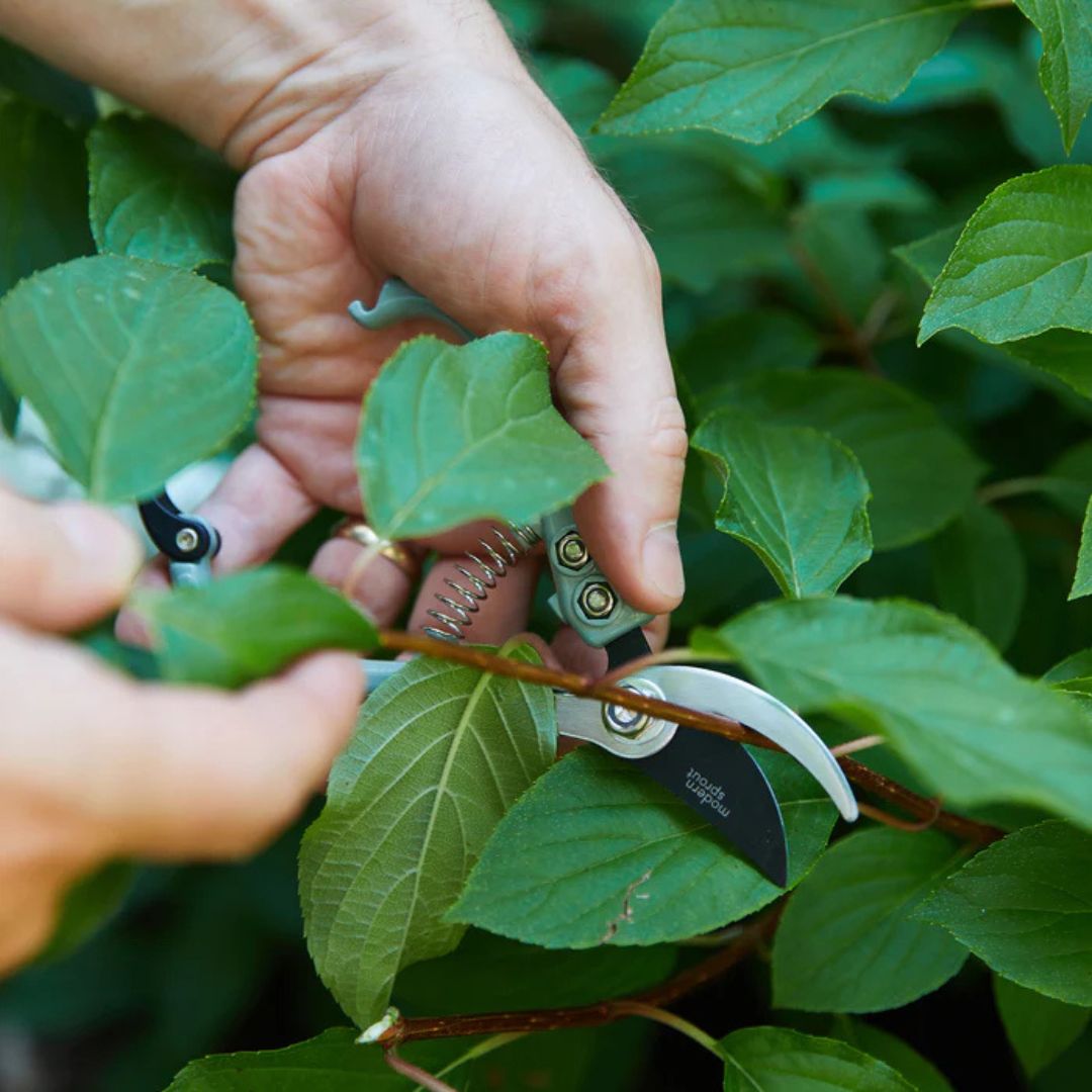 Gardening Pruner – Modern Sprout – Sage